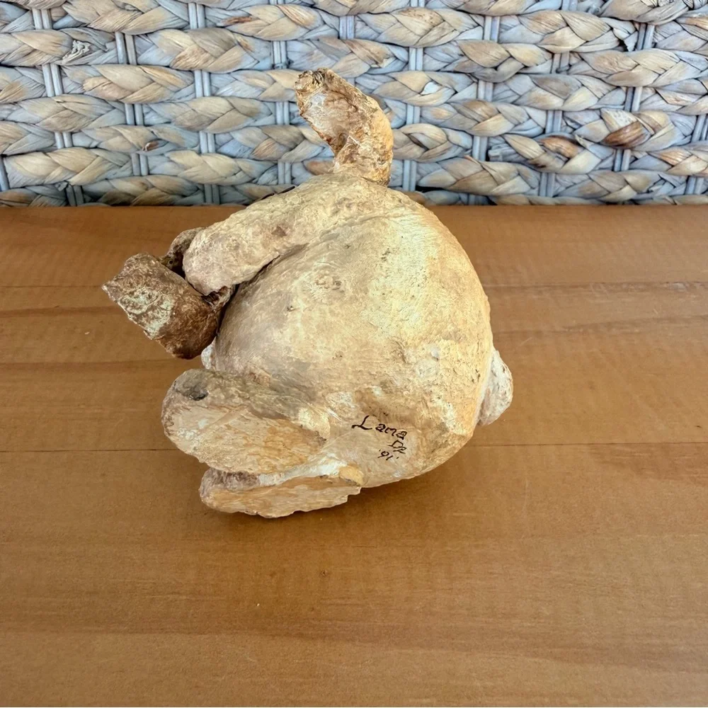 Hand Made Vintage Paper Mache Bunny Rabbit Signed By Artist Easter Spring